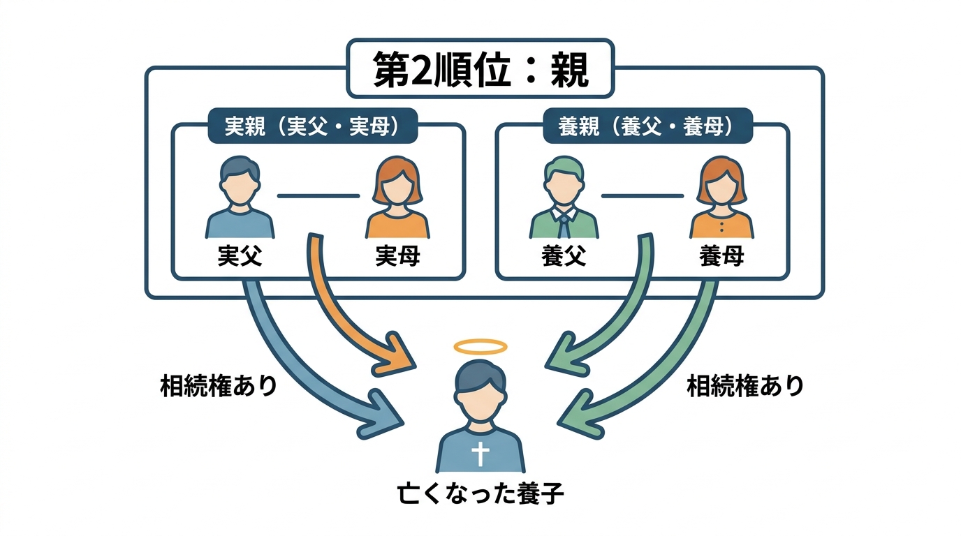 子がいない養子が亡くなった場合の相続順位を示す図解。実親と養親の両方が第2順位の相続人になることを表している。