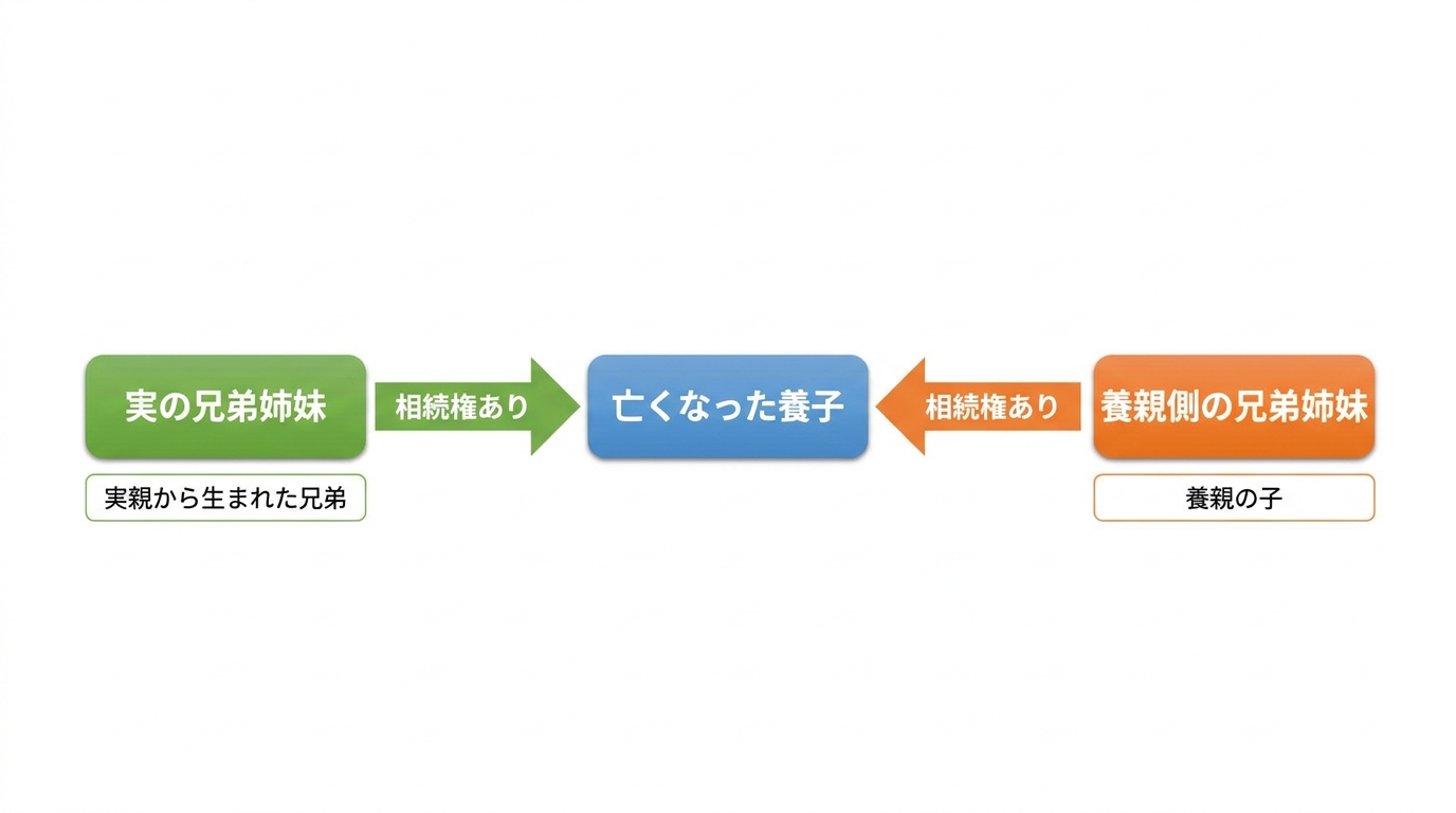 親がいない場合の養子の相続関係図。実の兄弟姉妹と養親側の兄弟姉妹の両方が第3順位の相続人になることを示している。